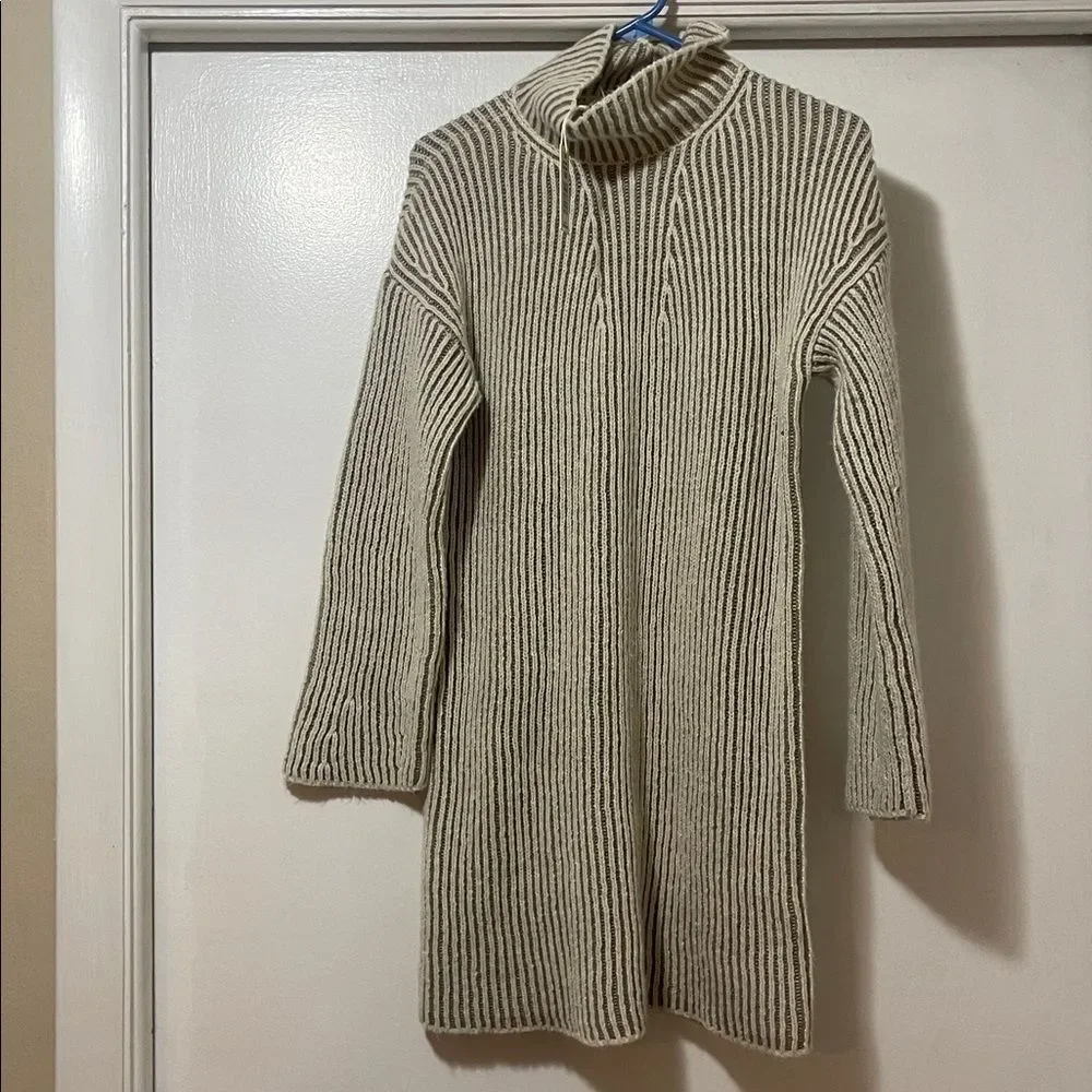 Max studio  Cozy Ribbed Knit Turtleneck Sweater Dress NWT XS